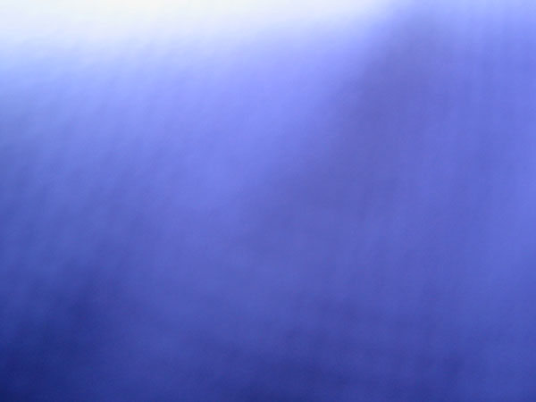 IMG_0429